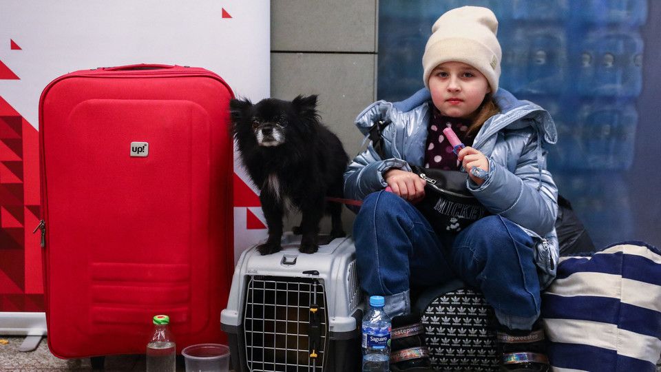 Una bambina mangia un gelato in compagnia del suo cane nel centro di accoglienza di Cracovia