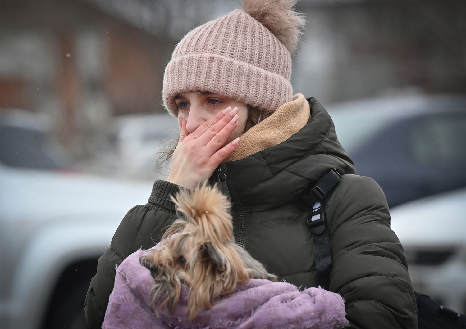 animali domestici dramma guerra ucraina&nbsp;