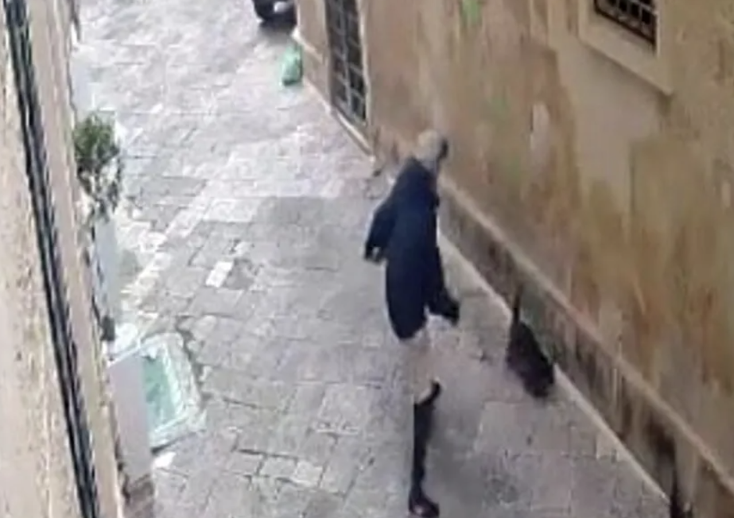Un frame del video in cui l'uomo fermato a Lecce uccide a calci il gatto Pierluigi
