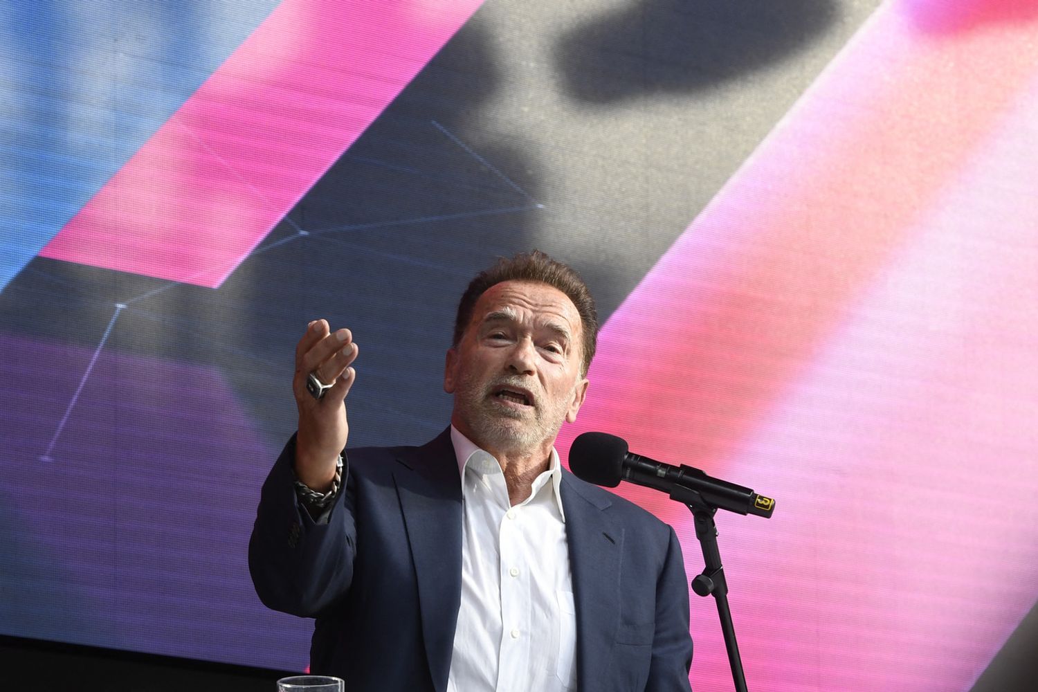 Arnold Schwarzenegger &nbsp;