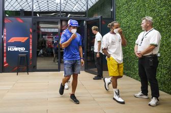 Alonso e Hamilton