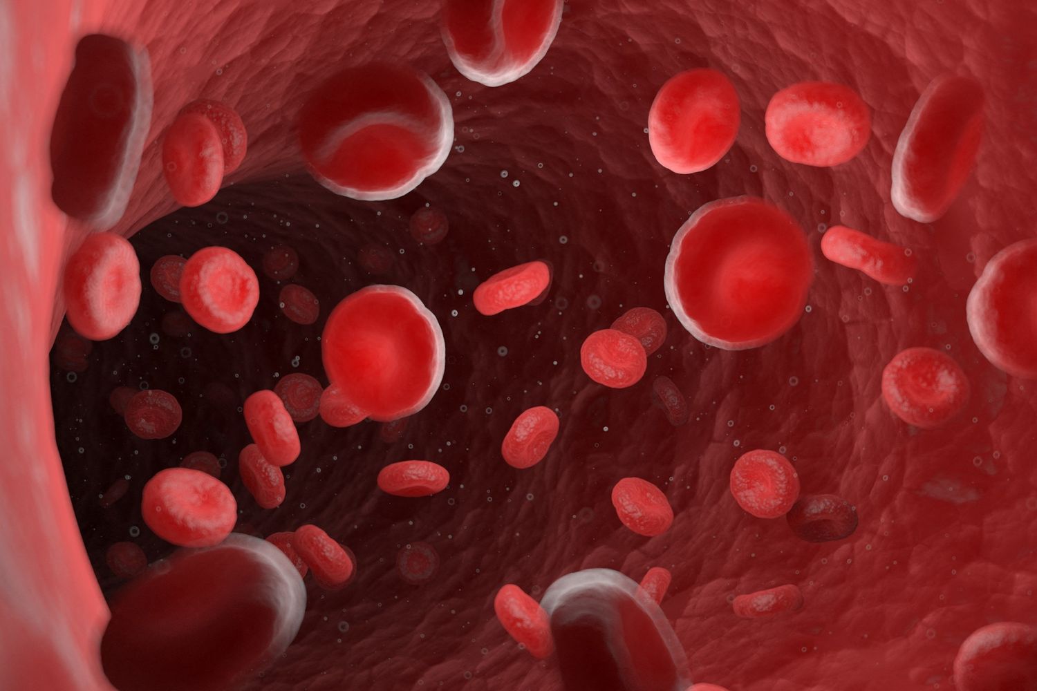 Una ricostruzione delle cellule del sangue