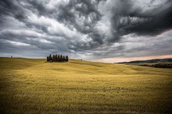 Una coltivazione in Val d'Orcia