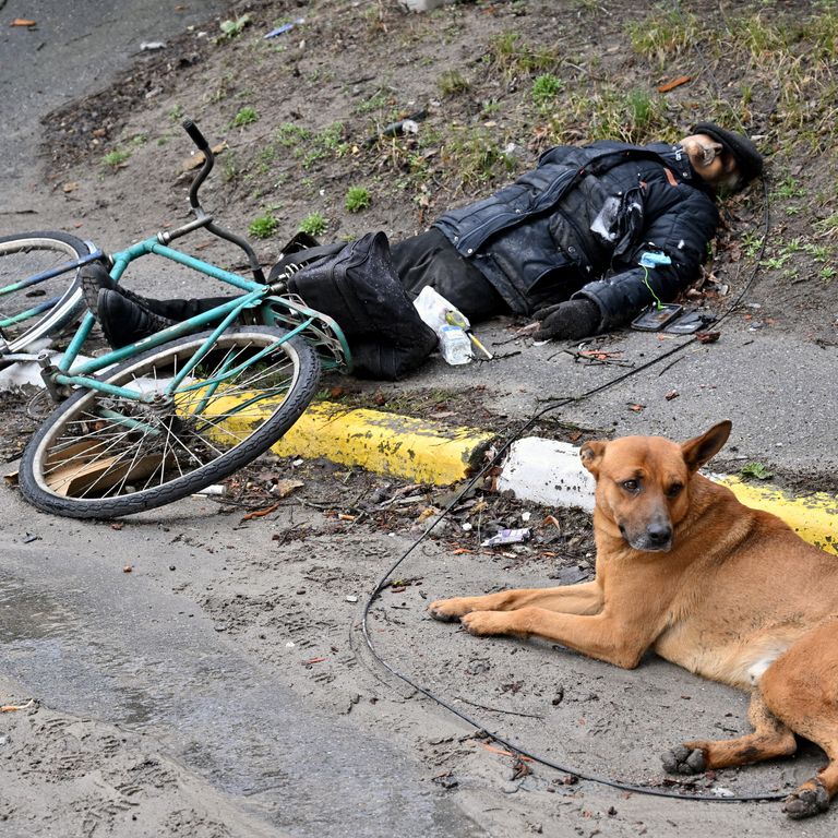 Un cane che veglia il cadavere di un uomo, presumibilmente il suo padrone, ucciso per le strade di Bucha&nbsp;