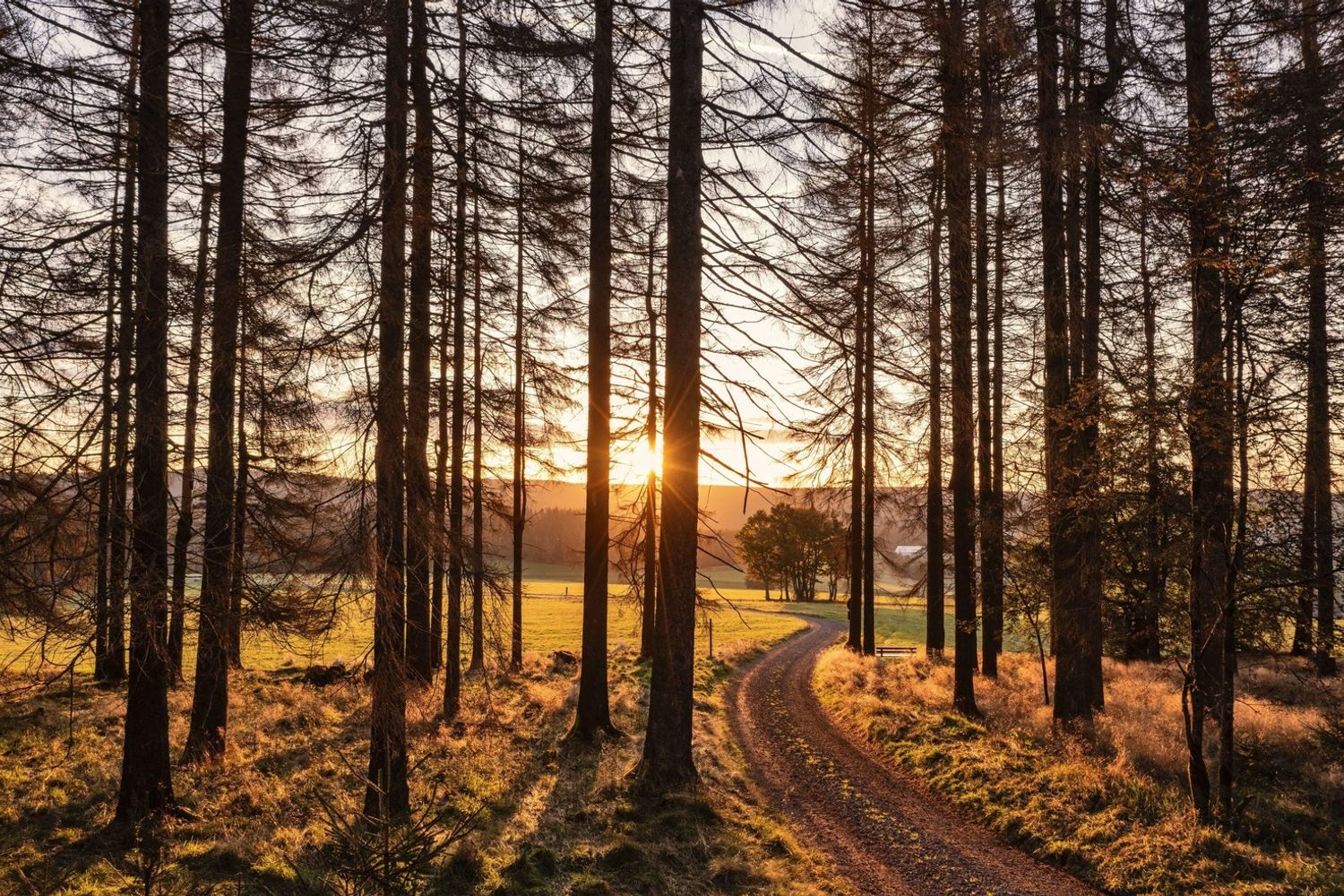 Esperienza pre-morte