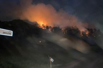 L'incendio che ha distrutto il bosco sul lago Maggiore