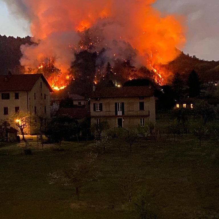 L'incendio che ha distrutto il bosco sul lago Maggiore