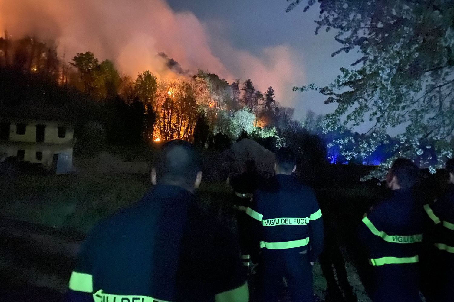 L'incendio che ha distrutto il bosco sul lago Maggiore