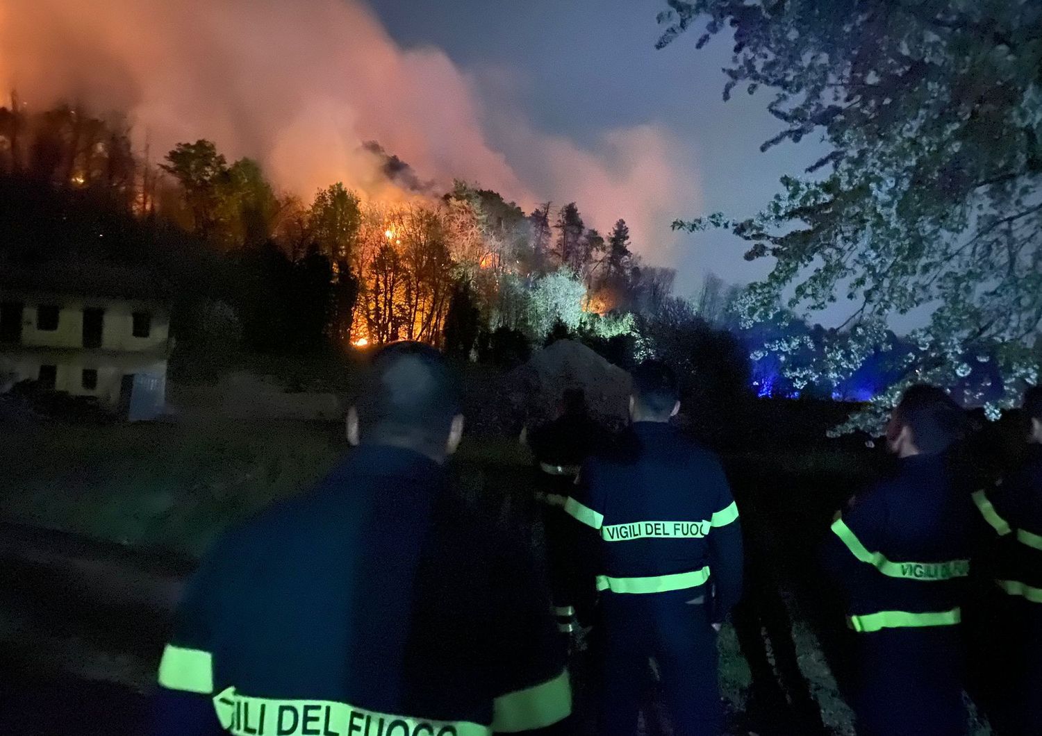 L'incendio che ha distrutto il bosco sul lago Maggiore