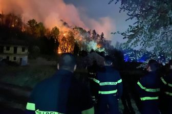 L'incendio che ha distrutto il bosco sul lago Maggiore