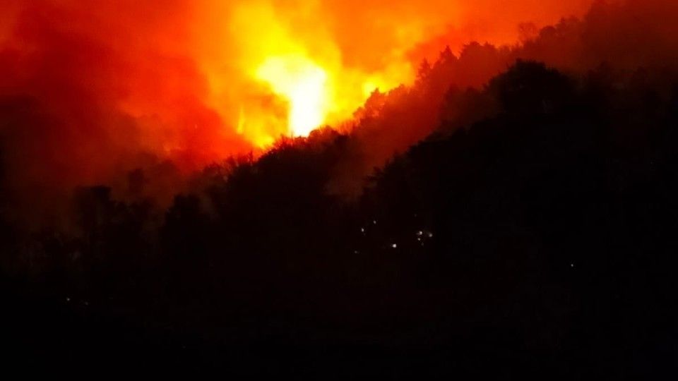 L'incendio che ha distrutto il bosco sul lago Maggiore