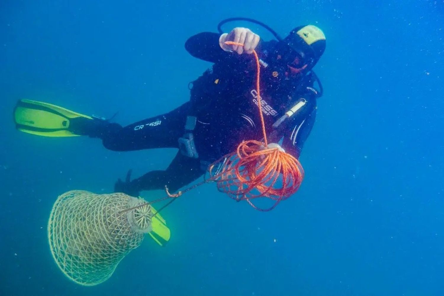 Isola d'Elba, vino nelle anfore