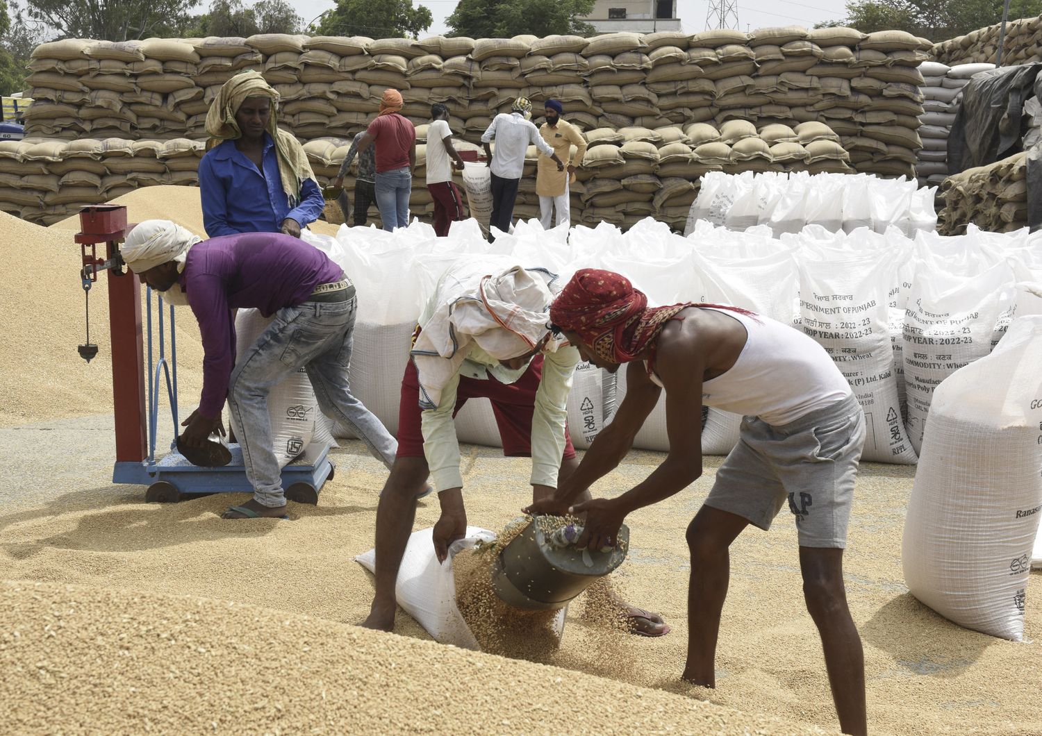 Mercato all'ingrosso di grano in India&nbsp;