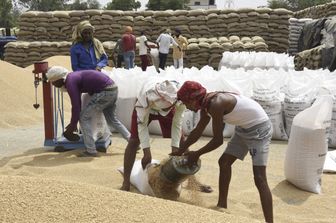 Mercato all'ingrosso di grano in India&nbsp;