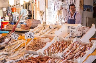 Un baco del pesce al mercato di Ballar&ograve;, a Palermo