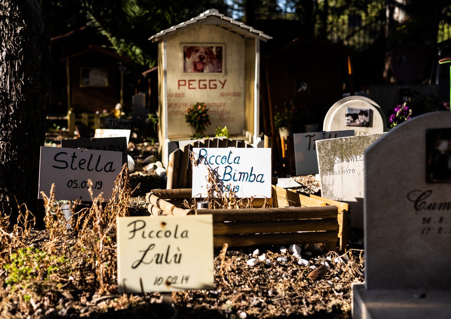 Cimitero per animali&nbsp;