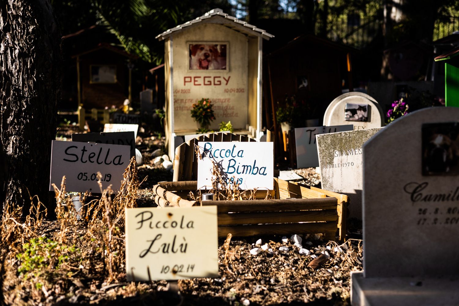 Cimitero per animali&nbsp;