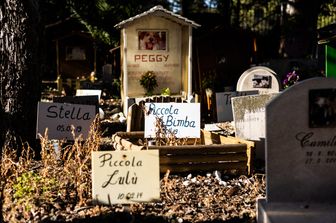 Cimitero per animali&nbsp;