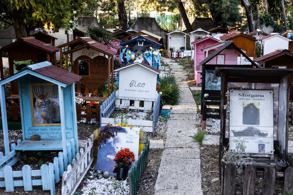 Cimitero per animali