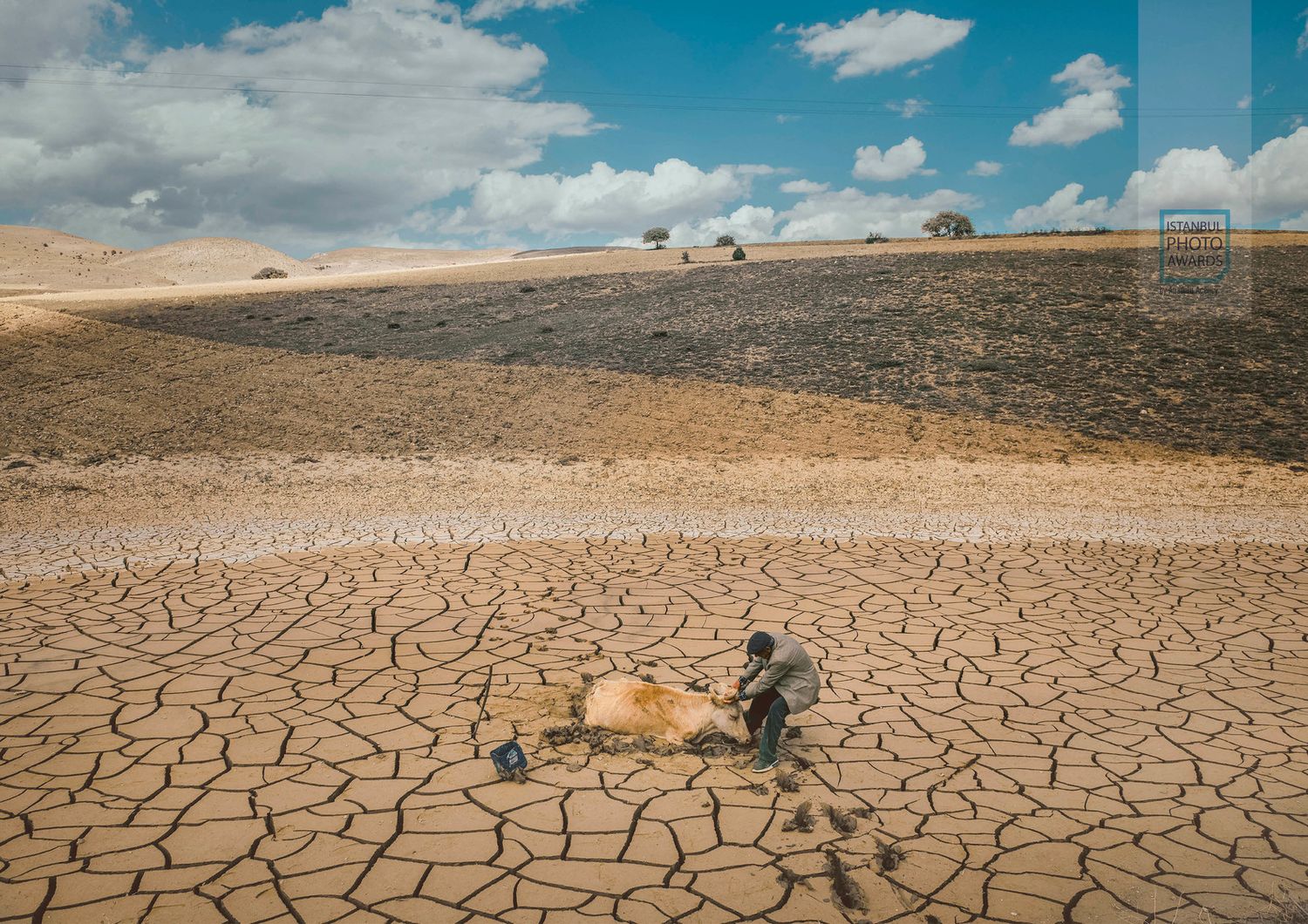 Clima Onu allarme siccita dal 2000 cresciuta del 29%