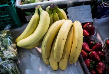 Un fungo sta distruggendo le piantagioni di banane in tutto il mondo