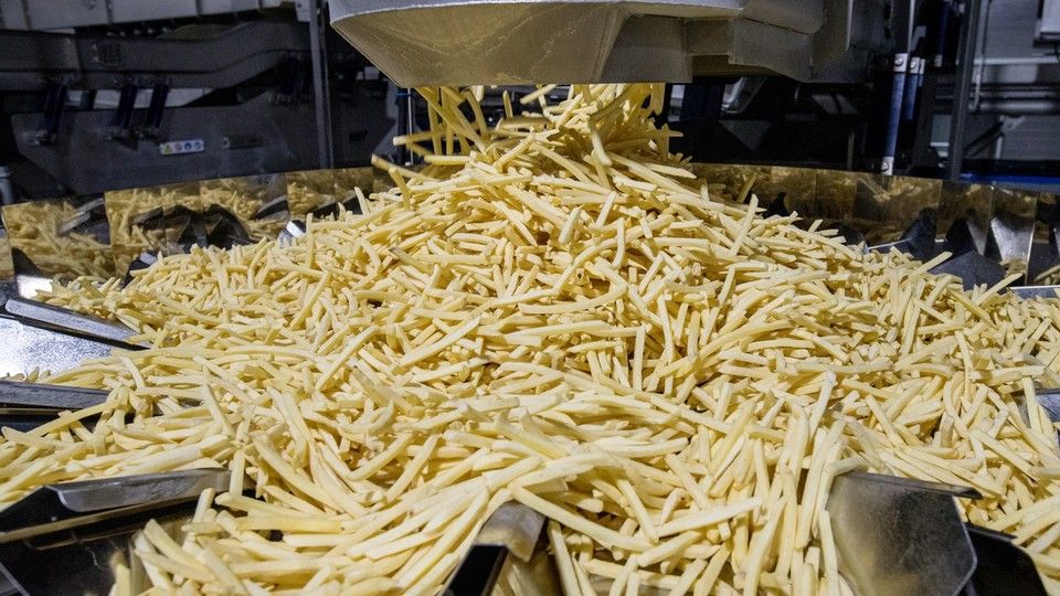 Uno stabilimento russo per la produzione di patatine per i McDonald's