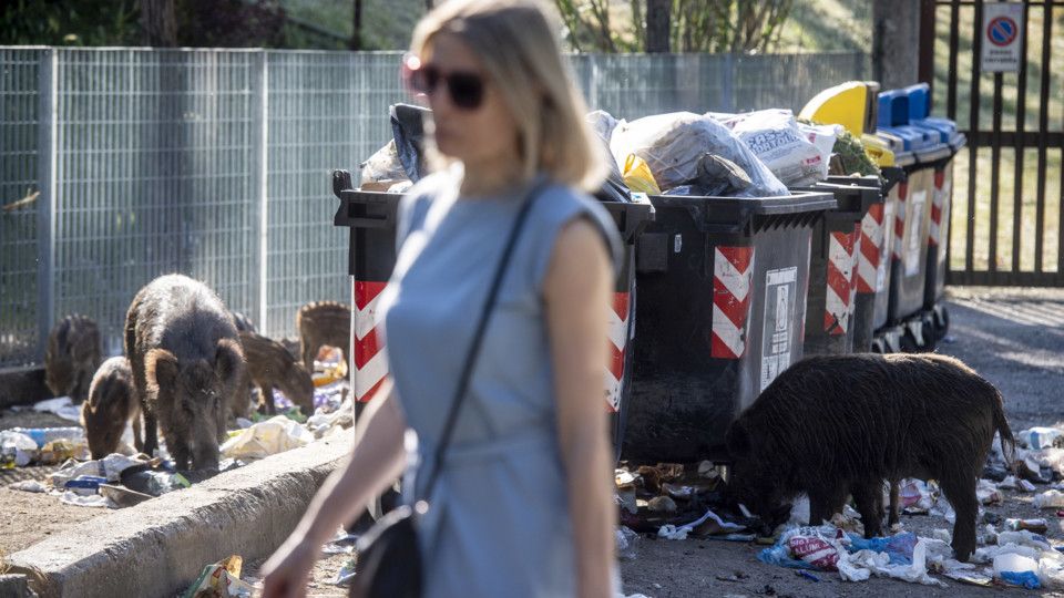 Prove di convivenza&nbsp;