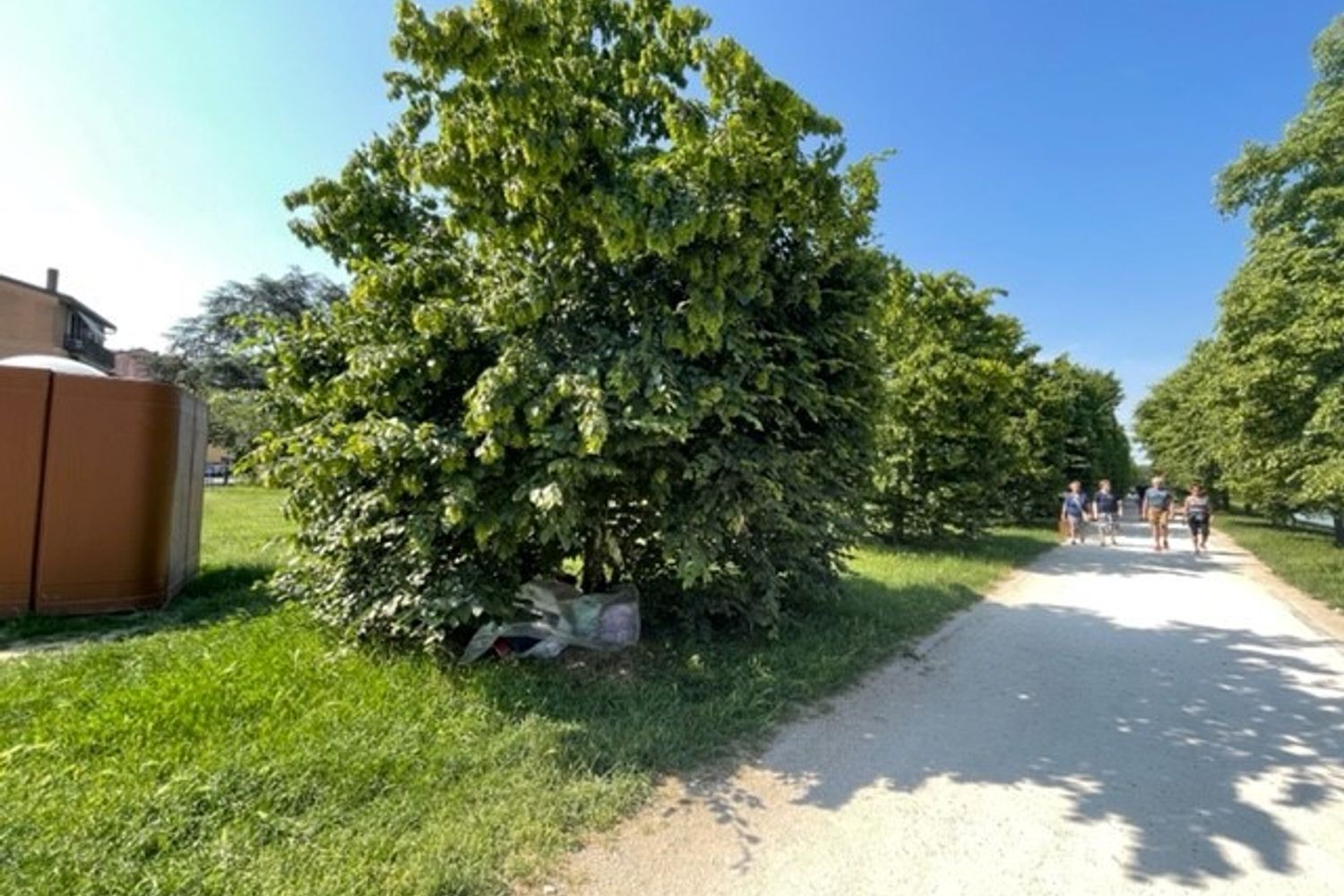 Il tiglio coi sacchi di vestiti e generi di prima necessit&agrave; di Mirko&nbsp;