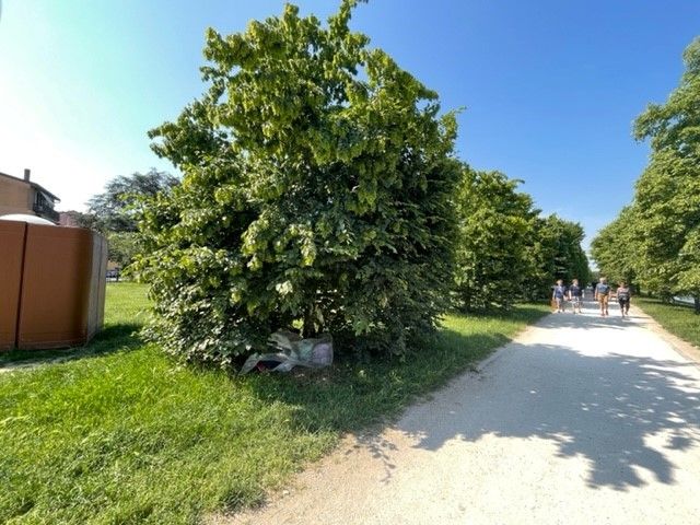 Il tiglio coi sacchi di vestiti e generi di prima necessit&agrave; di Mirko&nbsp;