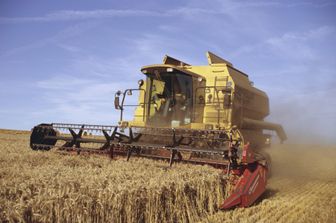 Prezzi del grano in aumento secondo Coldiretti