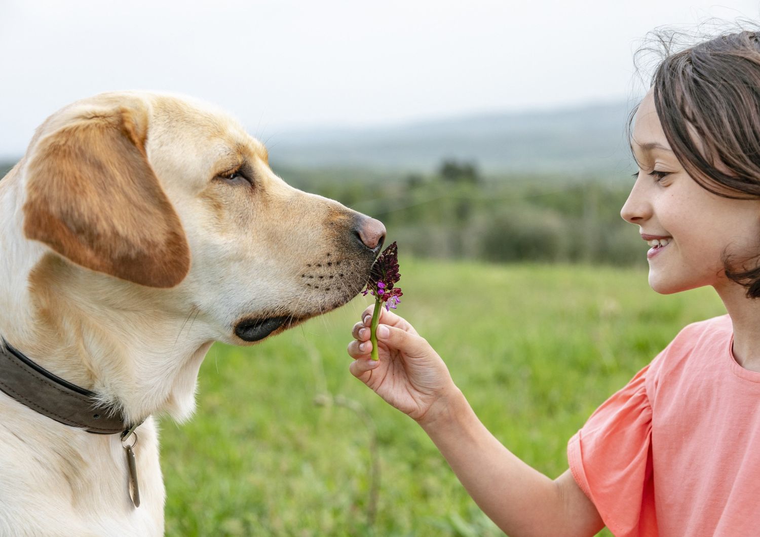 Una bambina con il suo Labrador&nbsp;