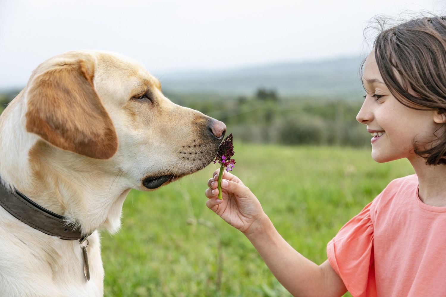 Una bambina con il suo Labrador&nbsp;