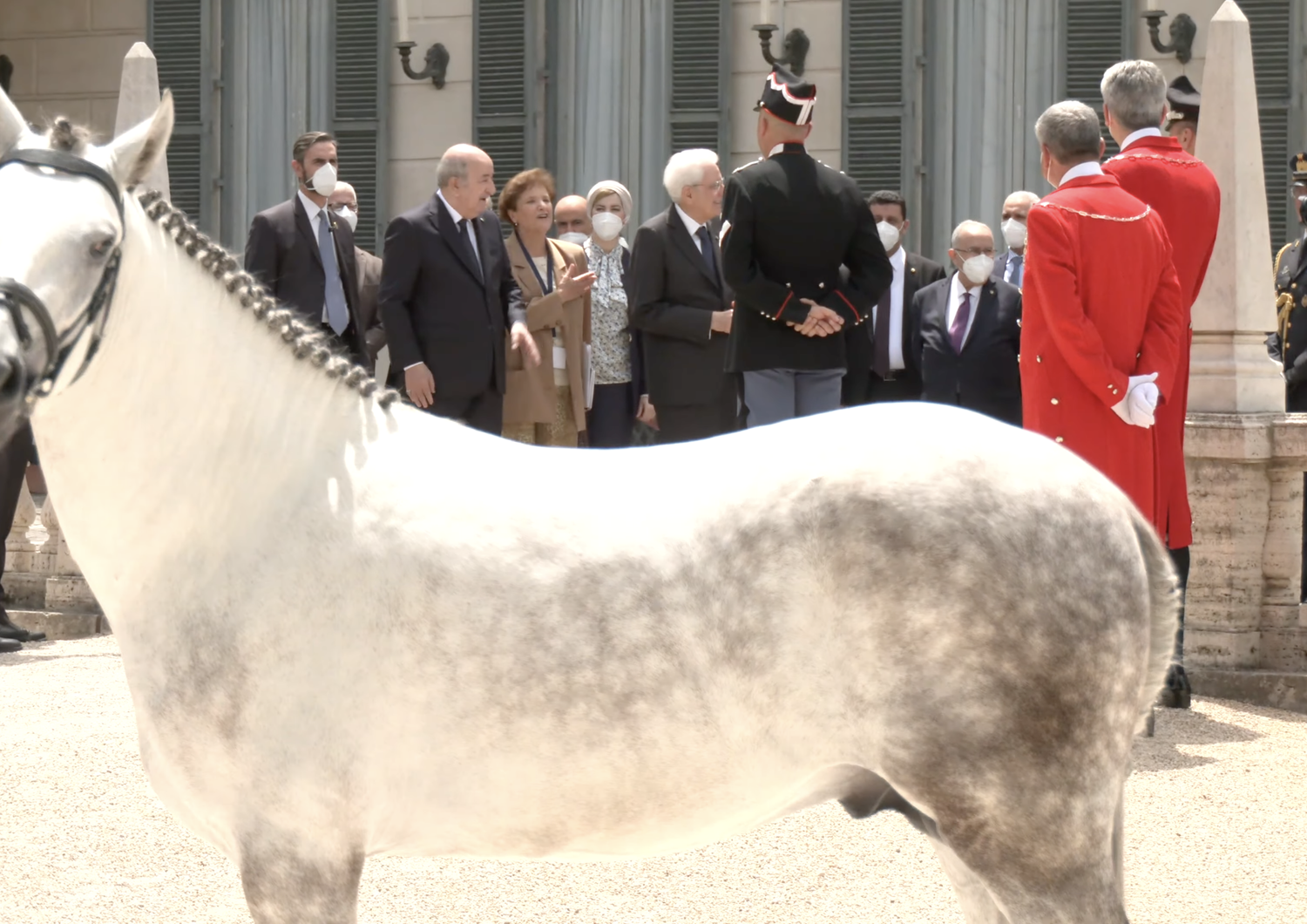 mattarella mostra a tebboune cavallo arabo ricevuto in dono