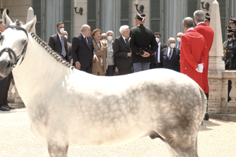 mattarella mostra a tebboune cavallo arabo ricevuto in dono