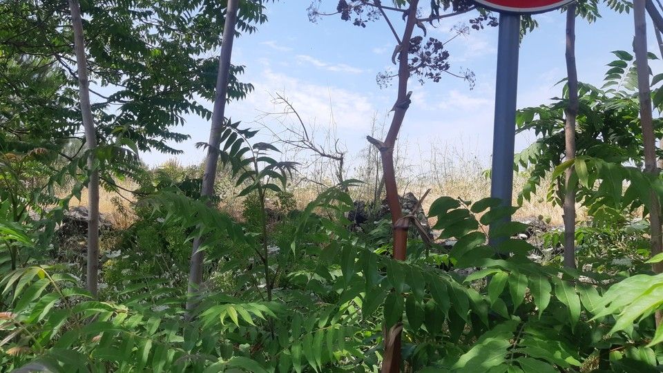 I sopralluoghi nel posto in cui &egrave; stato trovato il corpo della piccola Elena&nbsp;