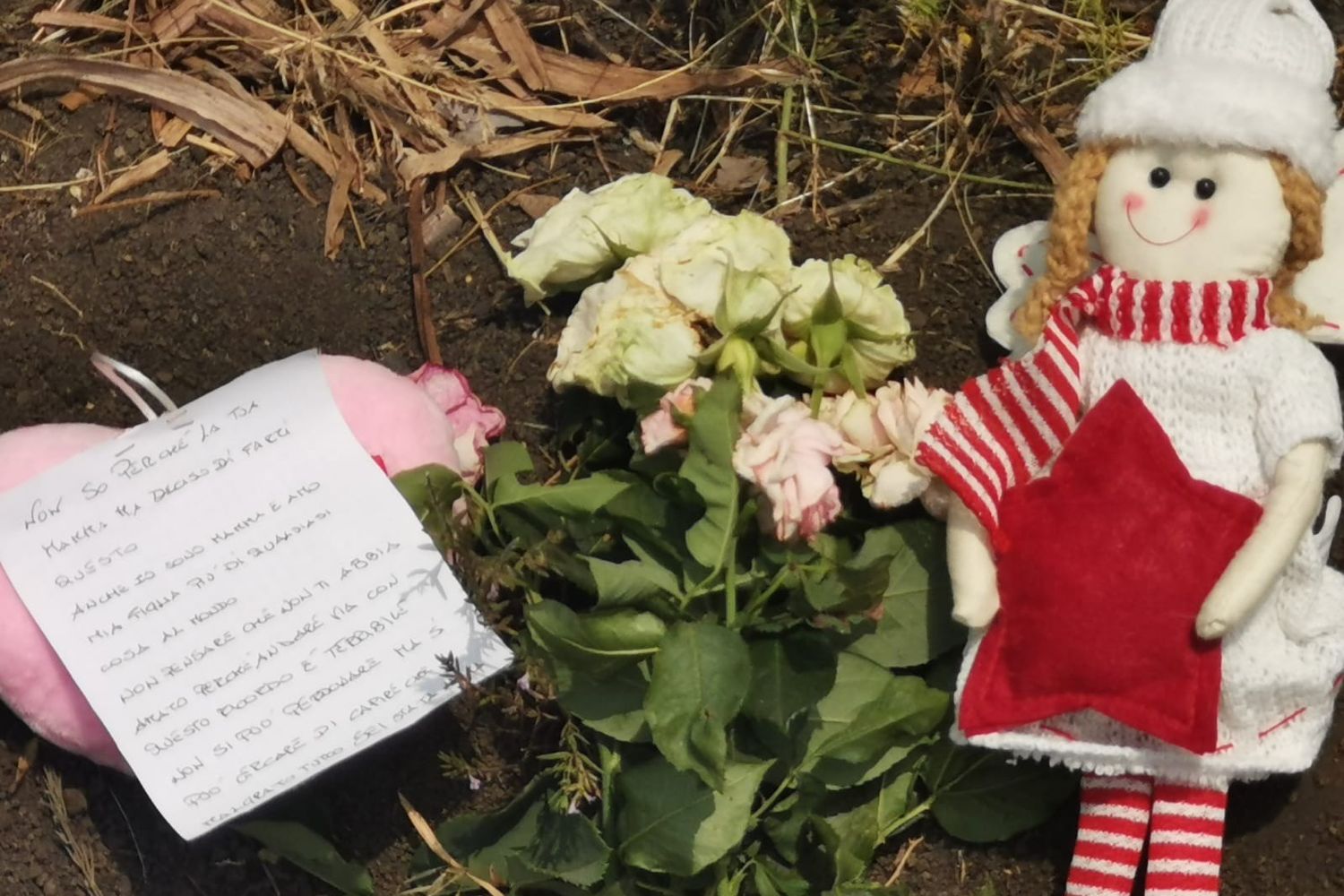 Il biglietto lasciato sul luogo in cui &egrave; stato trovato il corpo della piccola Elena