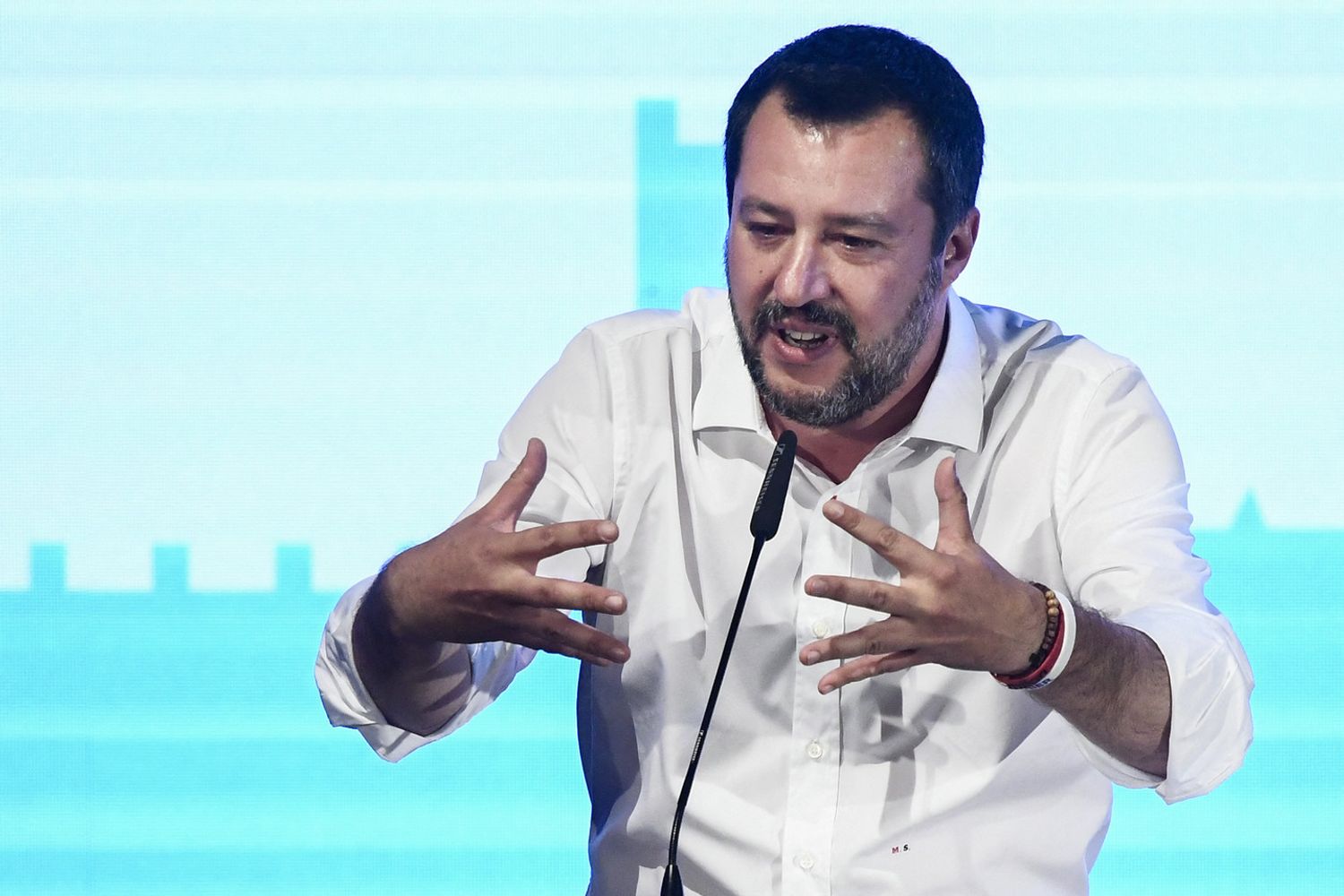 Matteo Salvini&nbsp;