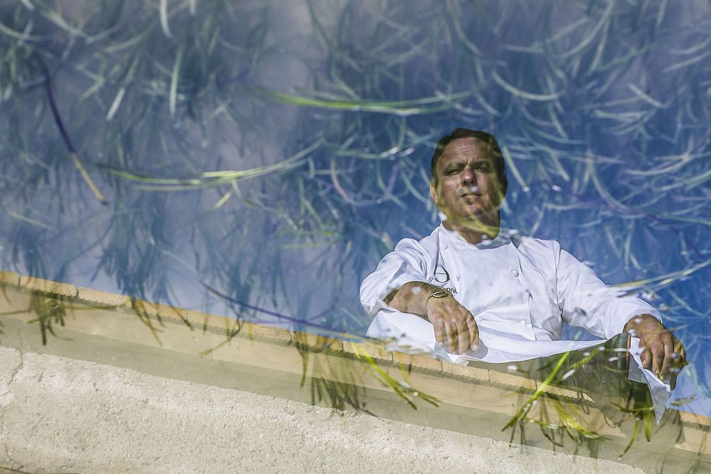 Lo chef stellato spagnolo Angel Leon con il grano marino