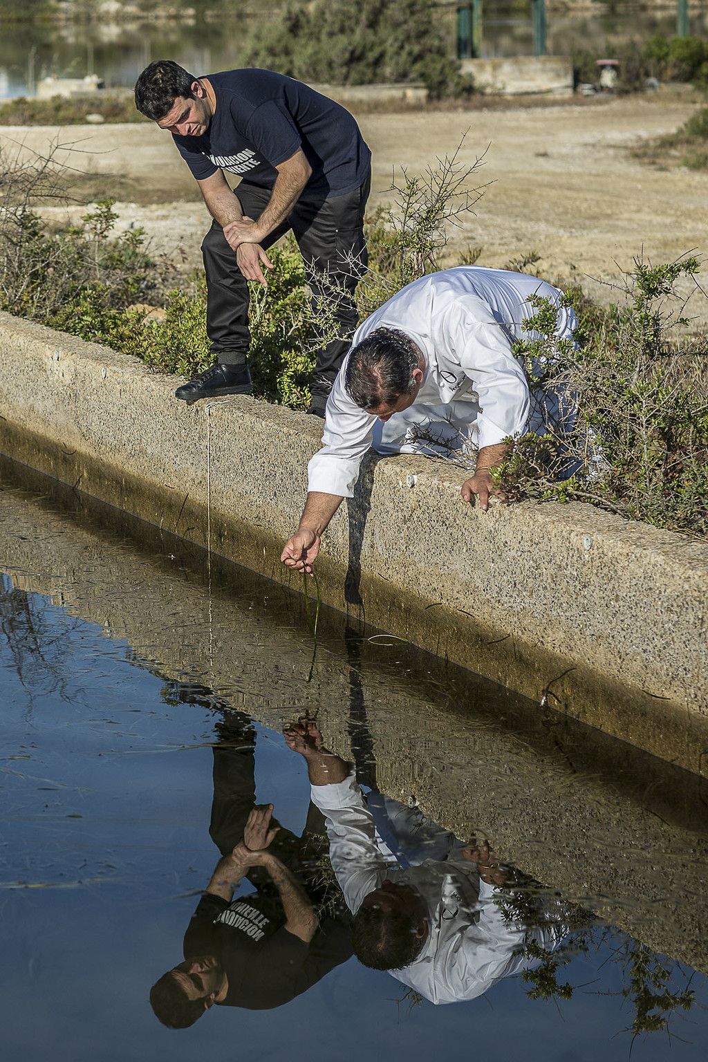 Lo chef stellato spagnolo Angel Leon con il grano marino
