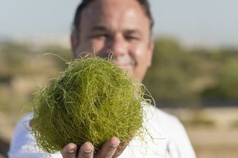 Lo chef stellato spagnolo Angel Leon con il grano marino&nbsp;
