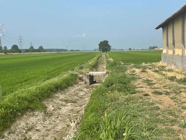 I fossi senz'acqua nel Pavese