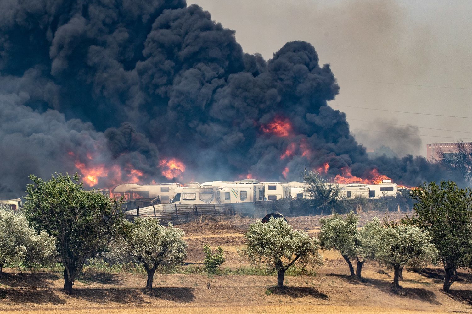 L'incendio sull'Aurelia a Roma&nbsp;