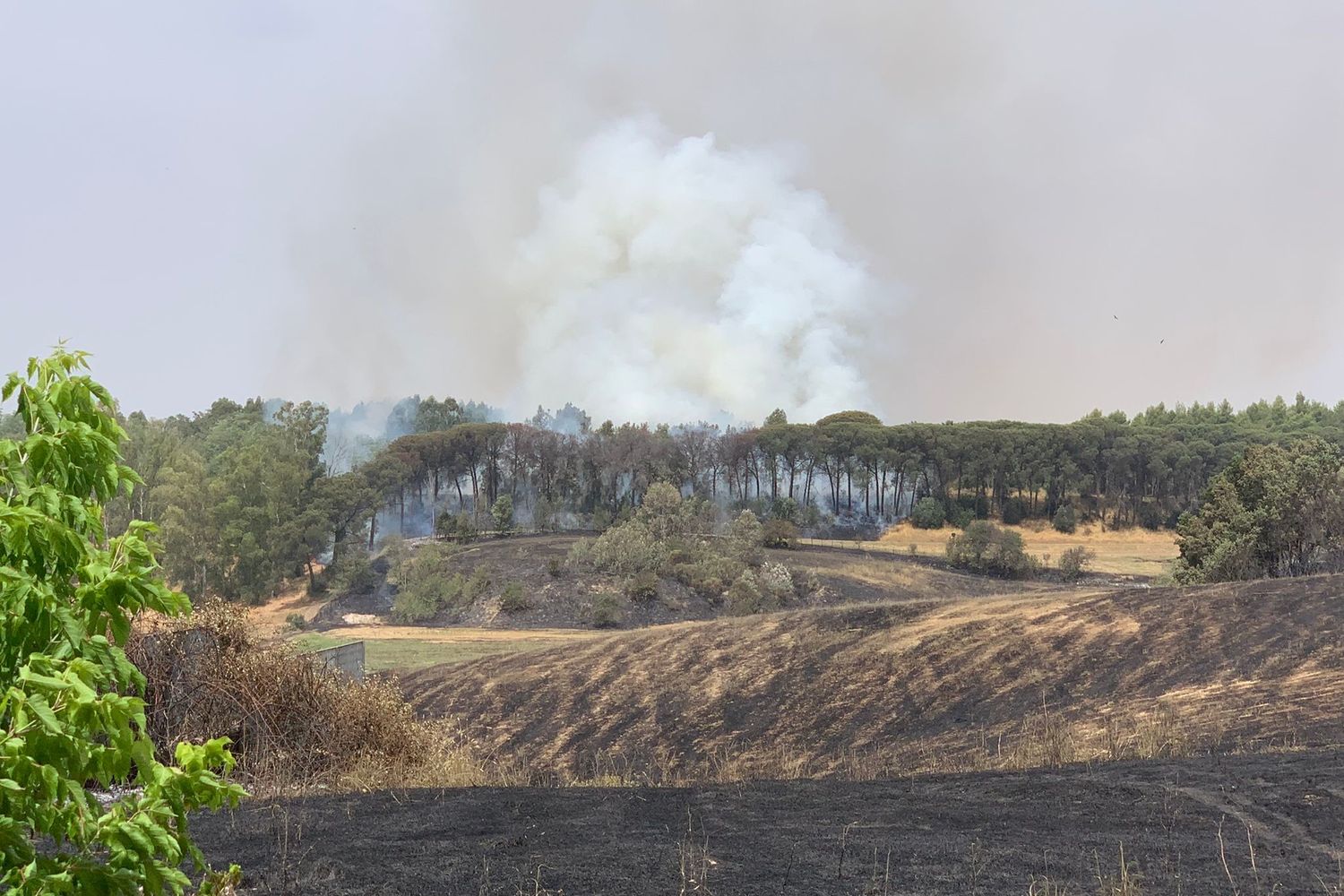 Le fiamme alle porte di Roma