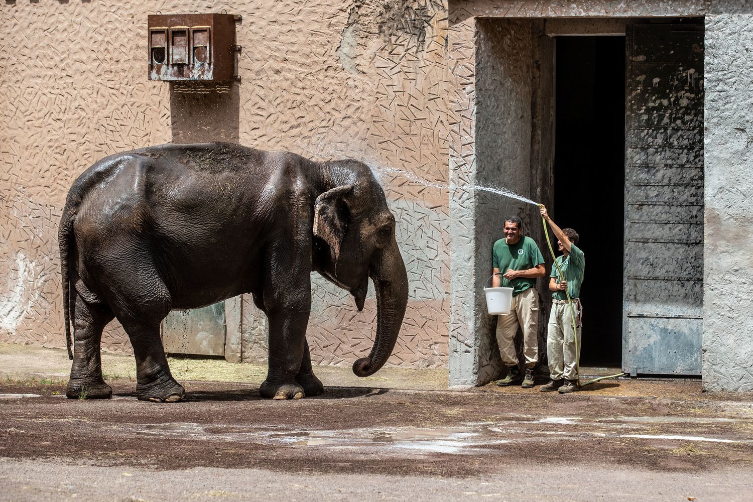 Caldo africano, zoo bioparco di Roma