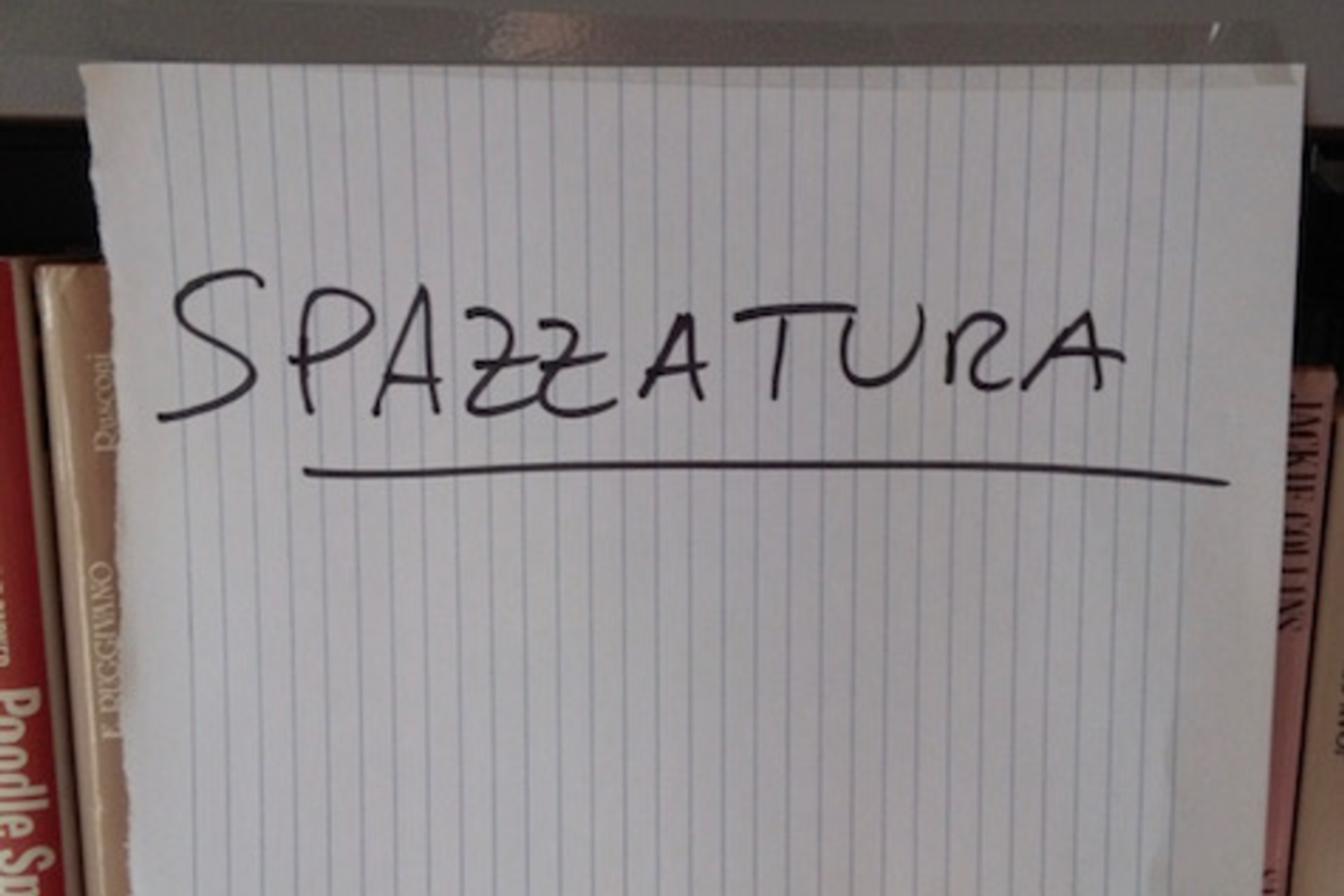 I libri della biblioteca di Carate Urio etichettati come spazzatura