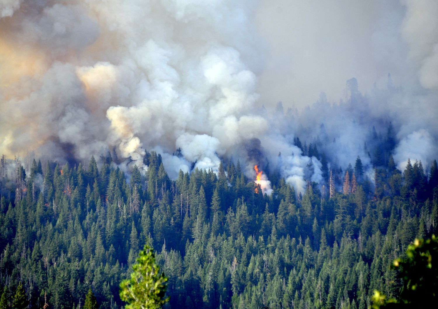 Yosemite Park, incendi