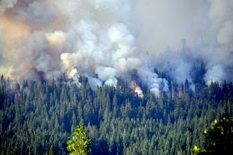 Yosemite Park, incendi