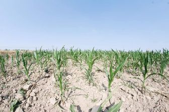 &nbsp;L'arsura nella Lomellina nel 2022