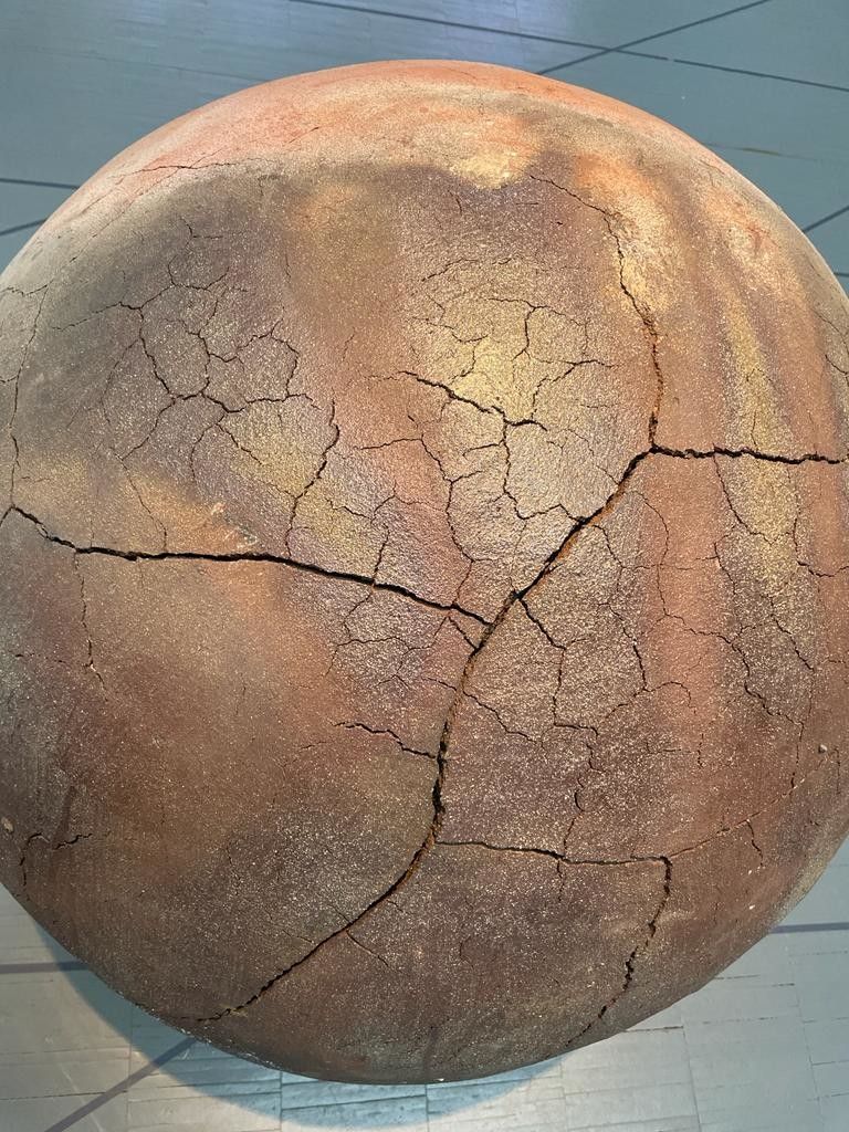 &nbsp;il bosco di Sodi