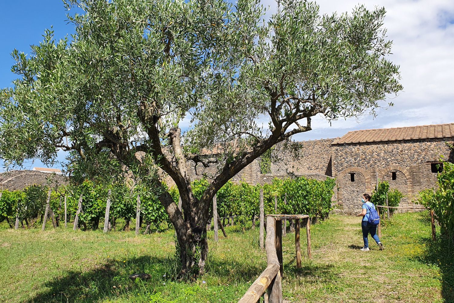 Pompei, parco archeologico
